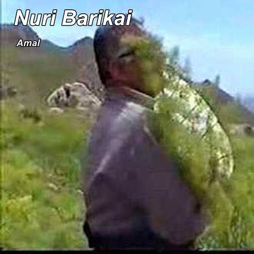 Amal cover art