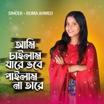 Ami chailam jare vobe pailamna tare