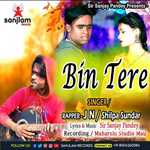 Bin Tere