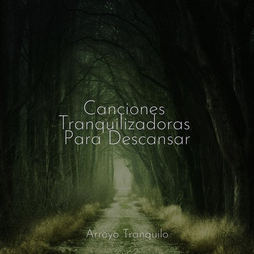 Siluetas del Atardecer cover art