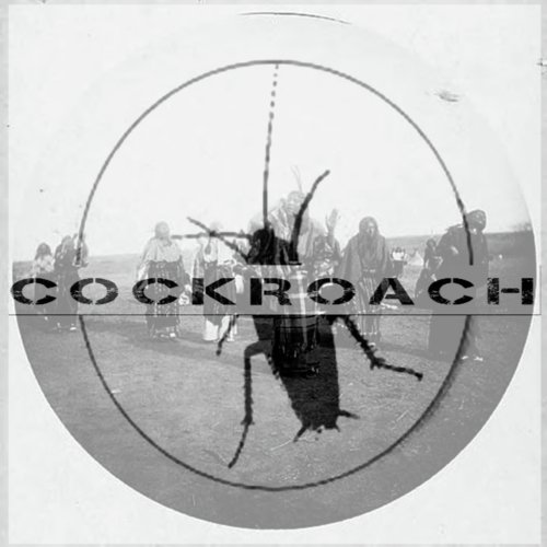 Cockroach