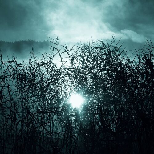 Oneirogen cover art