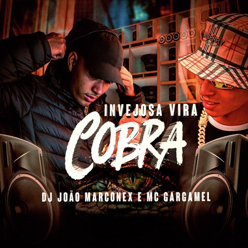 Invejosa Vira Cobra_poster_image