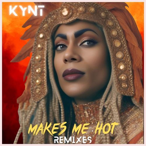 Make Me Hot (Remixes)_poster_image