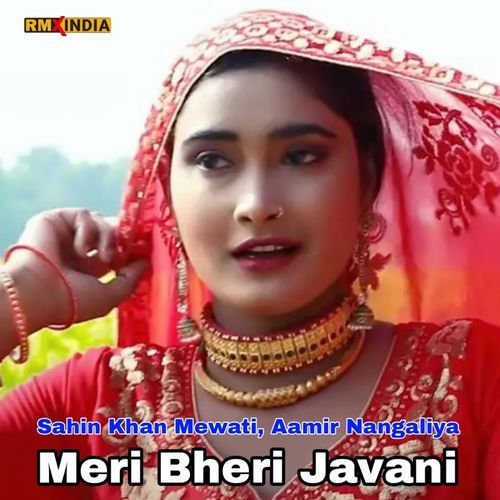 Meri Bheri Javani