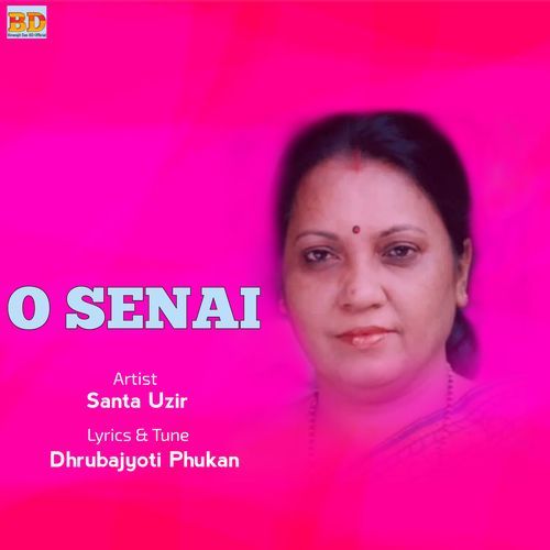 O Senai