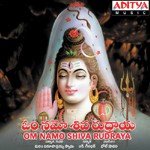 Shiva Thandavam