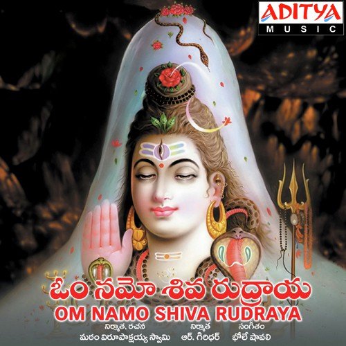 Om Namo Shiva Rudraya