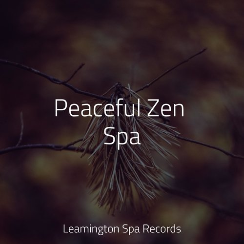 Meditating Music cover art