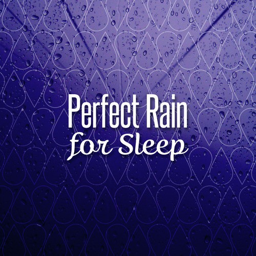 Perfect Rain for Sleep_poster_image