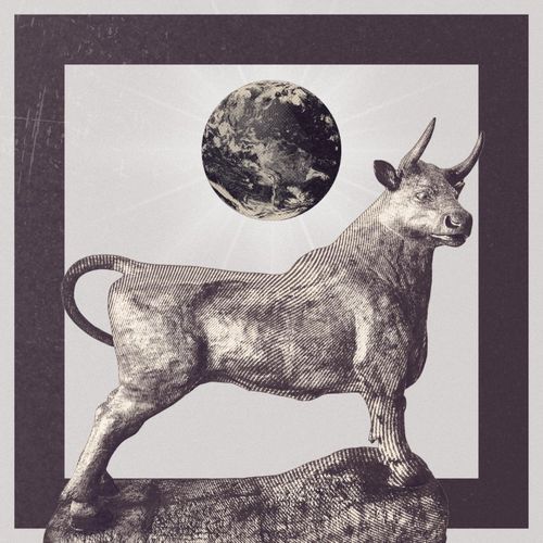 Rodeo cover art
