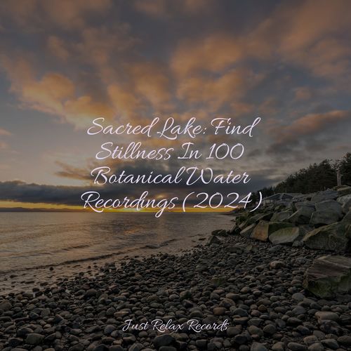 Sacred Lake: Find Stillness In 100 Botanical Water Recordings (2024)