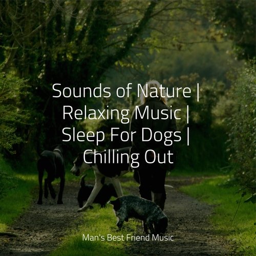 Meditating Music cover art
