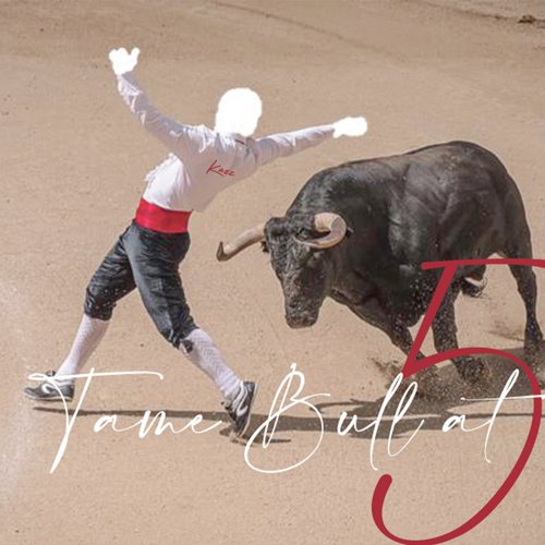 Tame Bull At 5