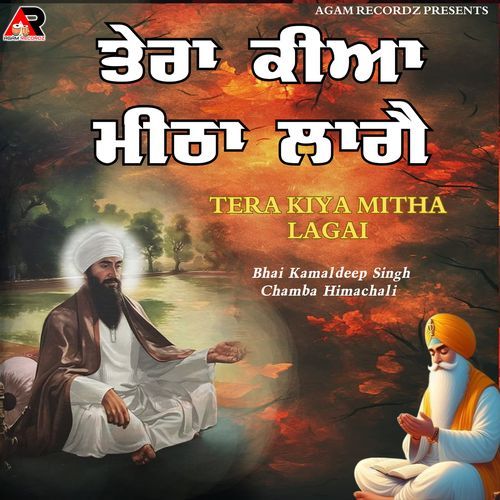 Tera Kiya Mitha Lagai