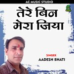 Tere bin mera jiya (Hindi)