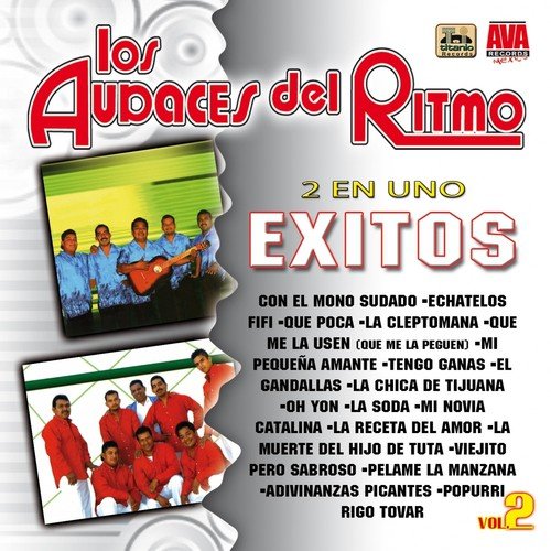 2 en Uno: Exitos, Vol. 2