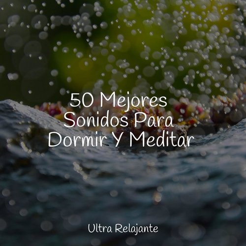 50 Mejores Sonidos Para Dormir Y Meditar