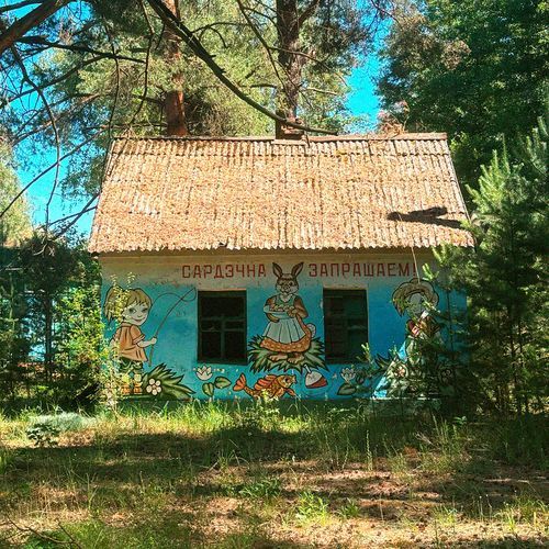 Летний лагерь Березка (51.841618, 24.319610)