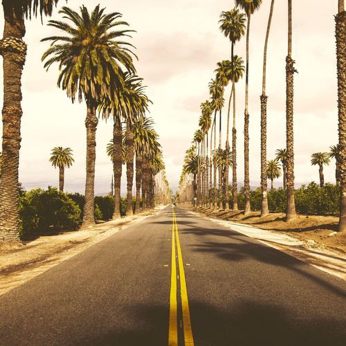 A Very Long Road