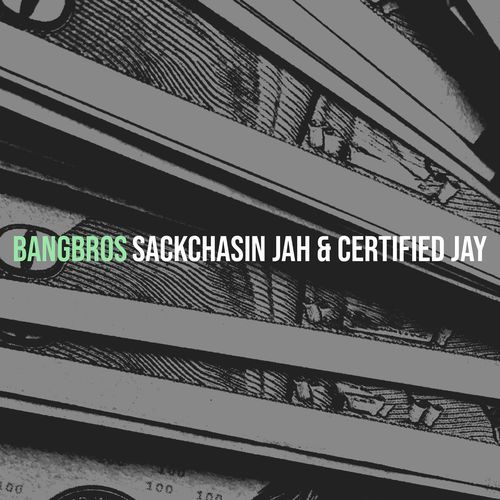 BangBros cover art