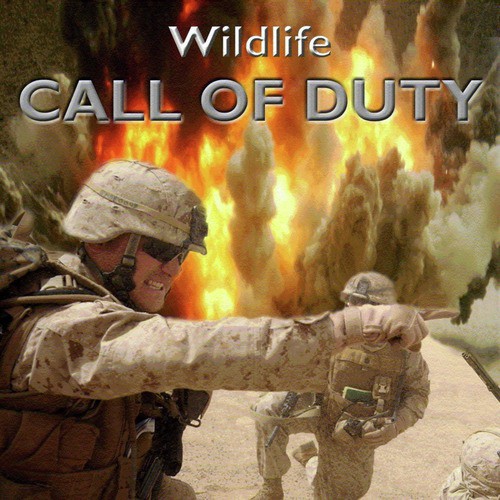 Call of Duty_poster_image