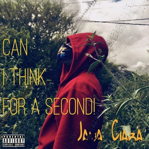 100 Juices cover art
