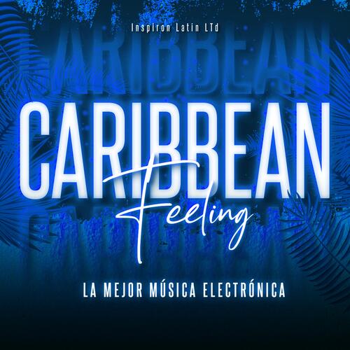 Caribbean Feeling_poster_image