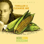 Cleanse Me