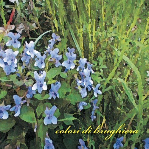 Maddalena cover art