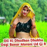 Dil Ki Dhadkan Dhokho Degi Banar Morani Ud Gi R