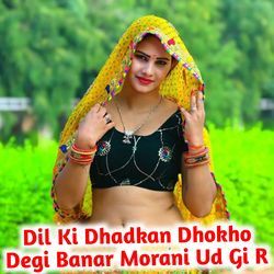 Dil Ki Dhadkan Dhokho Degi Banar Morani Ud Gi R