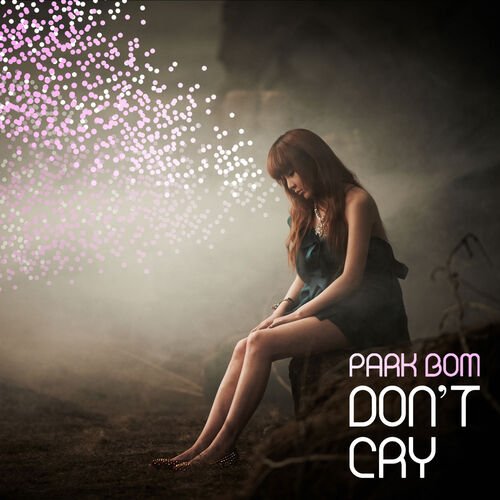 Don&#039;t Cry_poster_image