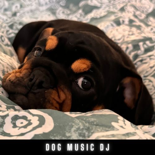 Baby Dog Lullaby cover art