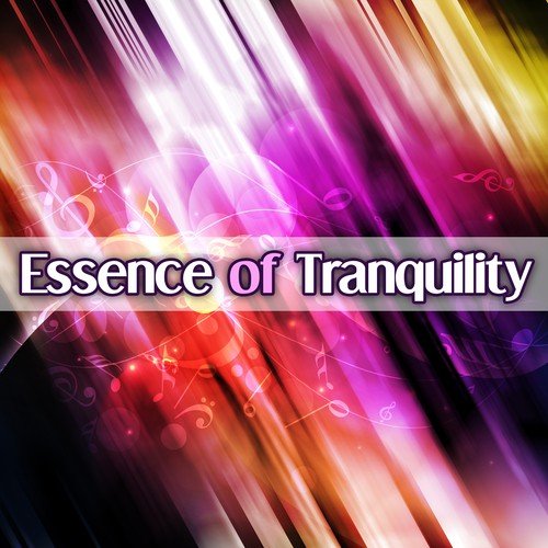 Essence of Tranquility - Wonderful Sounds, Cool Notes, Quiet Playing the Piano, Most Important Jazz