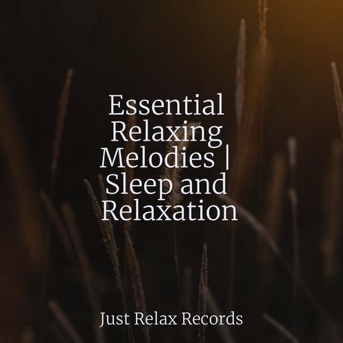 Essential Relaxing Melodies | Sleep and Relaxation_poster_image