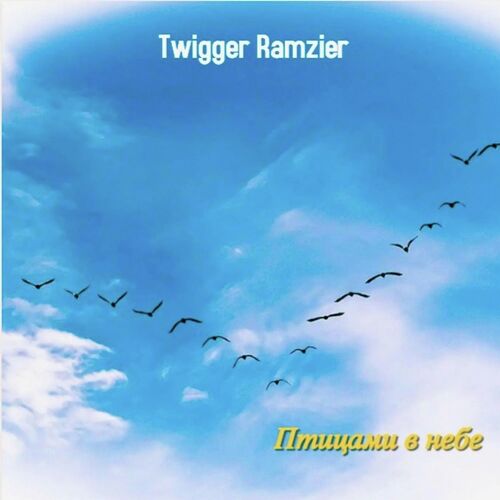 Птицами в небе cover art