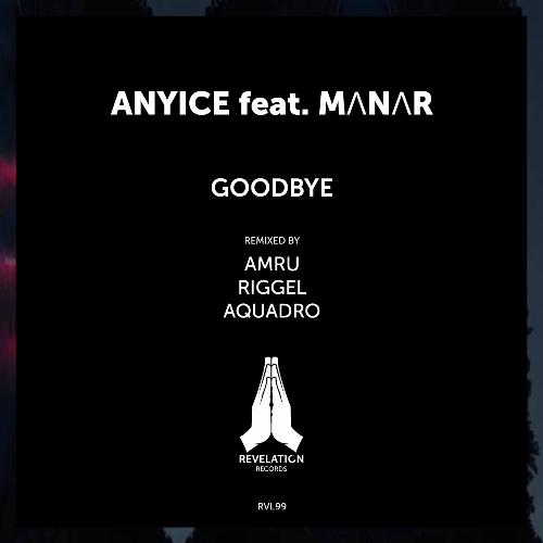Goodbye (Riggel Remix) cover art