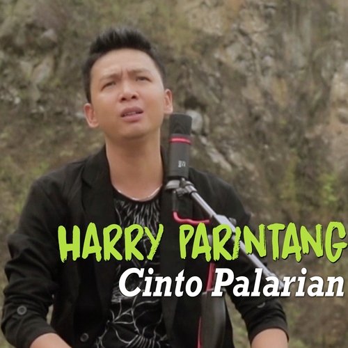 Cinto Palarian cover art