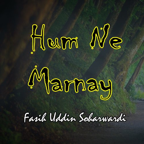 Hum Ne Marnay