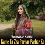 Kame Ta Zra Parhar Parhar Ke
