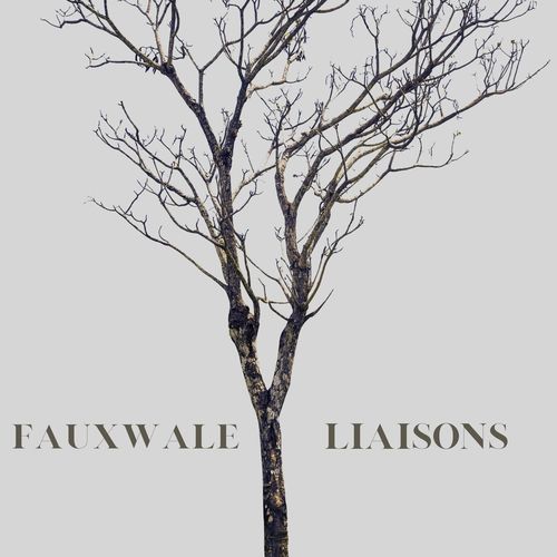 LIAISONS