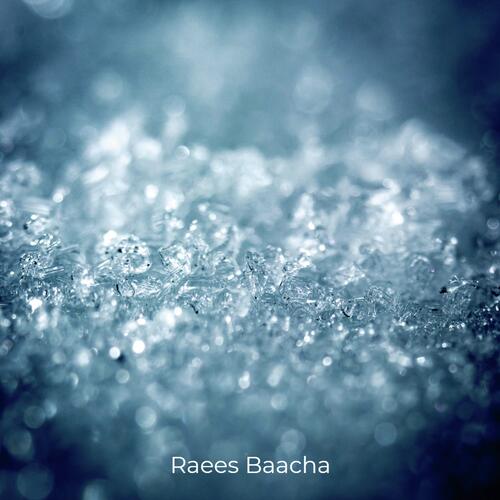 Raees Baacha