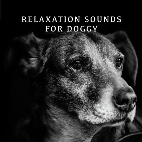 Chillout Doggy Dog cover art
