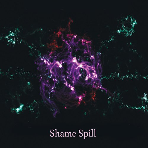 Shame Spill