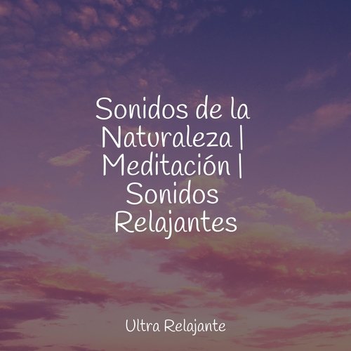 Sonidos de la Naturaleza | Meditación | Sonidos Relajantes_poster_image