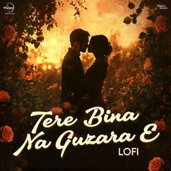 Tere Bina Na Guzara E (LoFi)