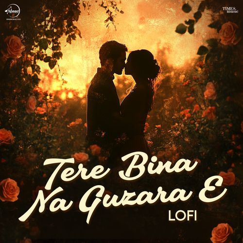 Tere Bina Na Guzara E (LoFi)