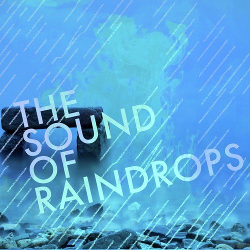 The Sound of Raindrops