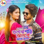 Tor Gulabi Saree Jhalke Jhalak Jhalak artwork